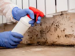 Why You Should Choose Our Mold Remediation Services in Sixteen Mile Stand, OH